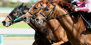 ���{�_�[�r�[�y���[�X�zG�T�������ŉ҂����@�y�U���z